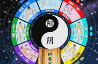 读懂中医阴阳：万物平衡的底层智慧