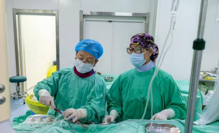 从“经验用药”到“精准定位”—AVS技术破解继发性高血压诊断难题