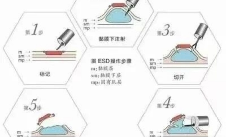 微信图片_2025-09-15_084147_909.jpg